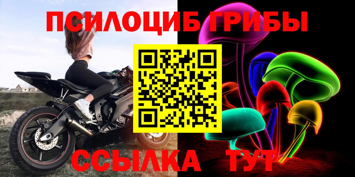 Видное  Псилоцибиновые грибы Psilocybine cubensis  Вход с VPN  Псилоцибиновые грибы Psilocybine cubensis 